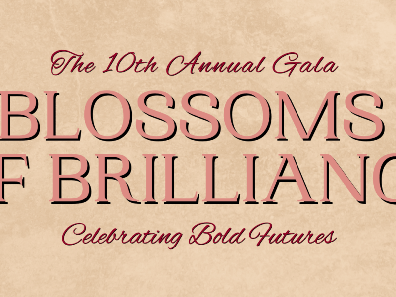 Annual Girls Inc. Charity Gala