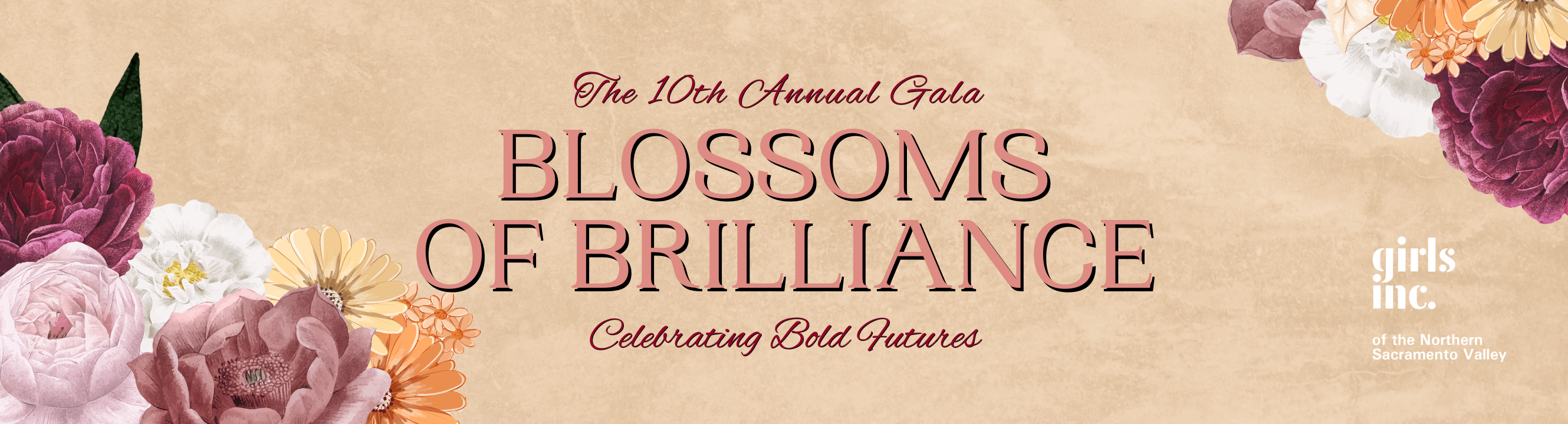 Annual Girls Inc. Charity Gala